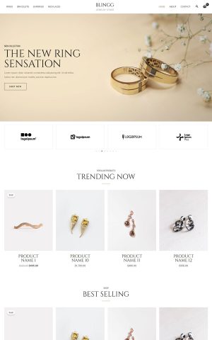 珠宝商店 blingg jewelry