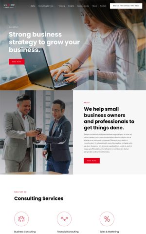 商业咨询 business consultancy