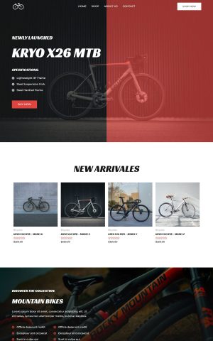 自行车店 cycle shop